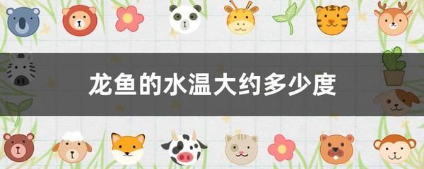 龍魚水缸溫度：龍魚換水注意事項，龍魚水溫調控技巧,熱帶魚水溫波動影響