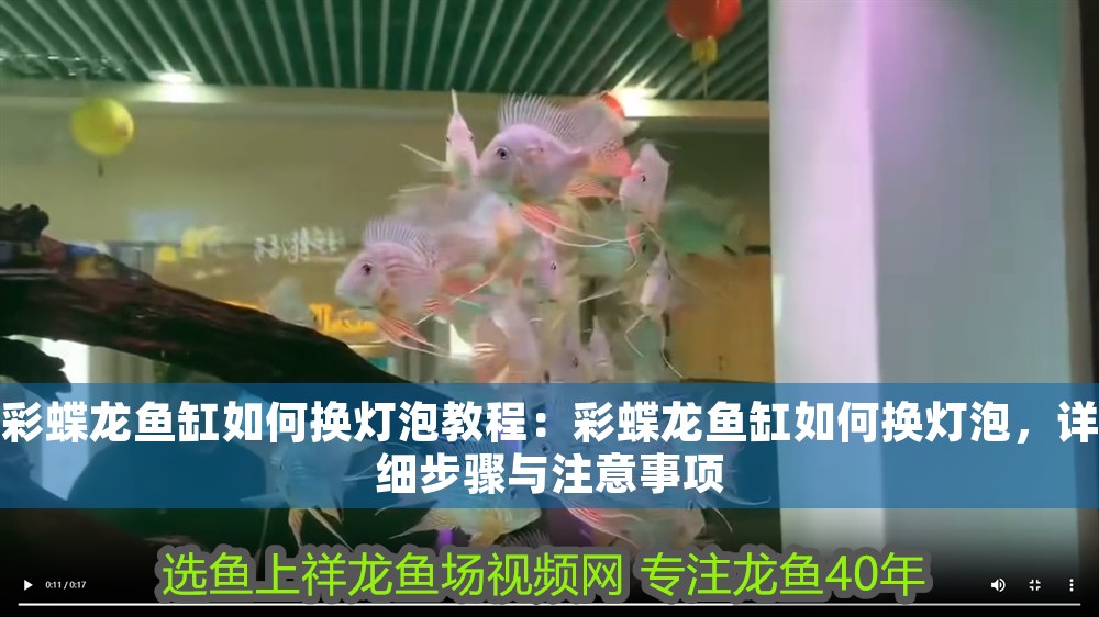 彩蝶龍魚缸如何換燈泡教程：彩蝶龍魚缸如何換燈泡，詳細步驟與注意事項