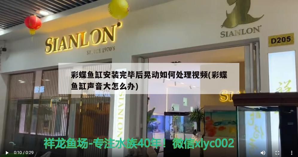 龍魚混養魚推薦品種：龍魚混養魚推薦品種大全