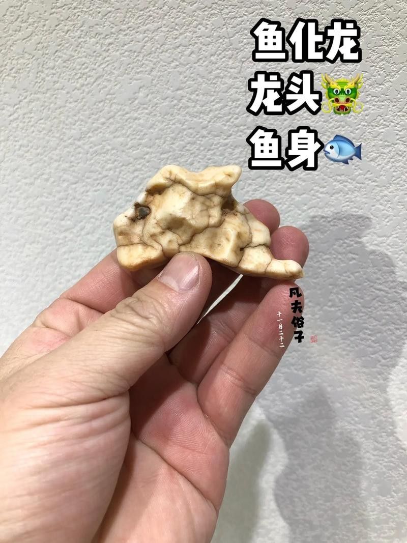 化骨龍魚圖片欣賞大全
