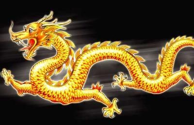 高端金龍魚魚缸品牌排行榜前十名是哪些