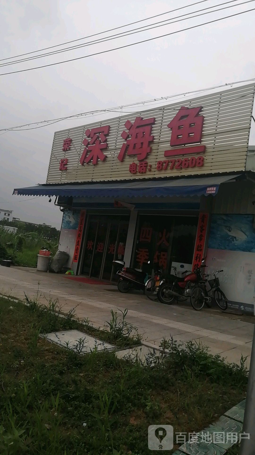 揭陽觀賞魚龍魚回收店電話號碼