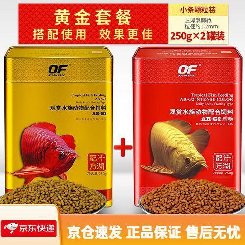 金龍魚喂顆粒可以嗎