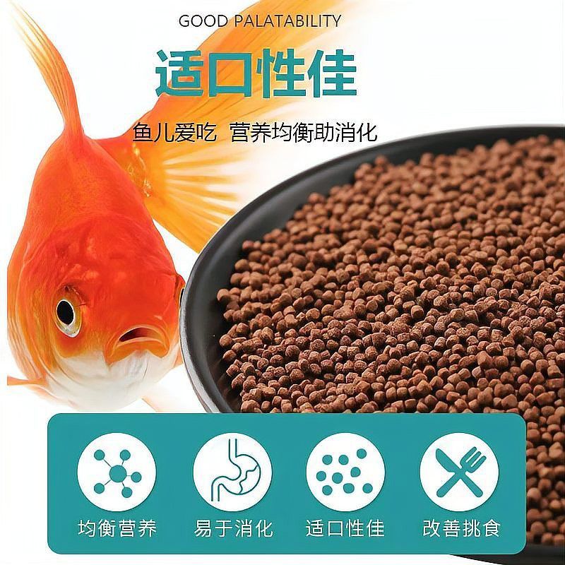 金龍魚喂顆粒可以嗎