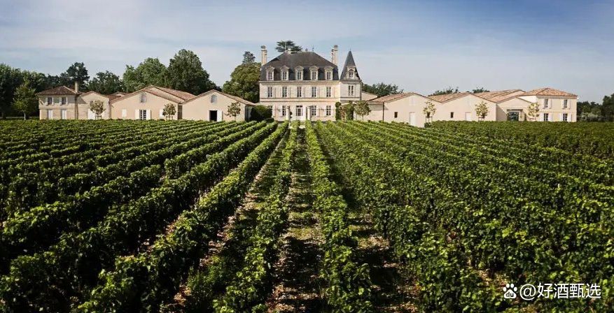 波多西堡產區紅龍有哪些知名品牌？