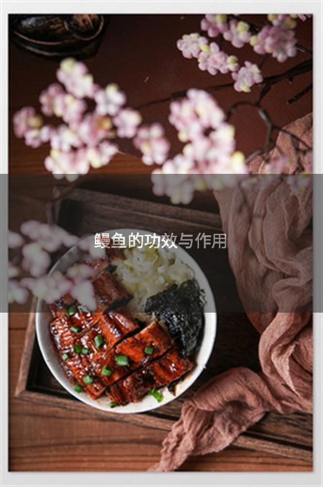 鰻魚的功效與作用