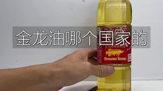 金龍魚品牌為什么叫金龍魚