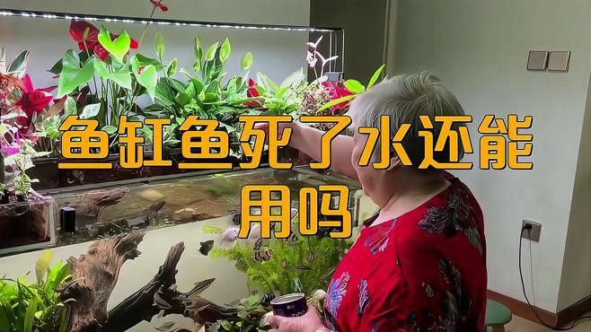 龍魚死亡后需要換水嗎？