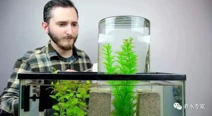 負壓魚缸原理（如何制作簡易負壓魚缸）