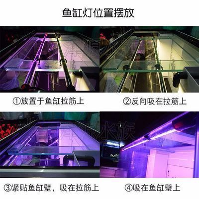龍魚燈擺放位置示意圖大全，詳細的龍魚燈擺放位置示意圖大全