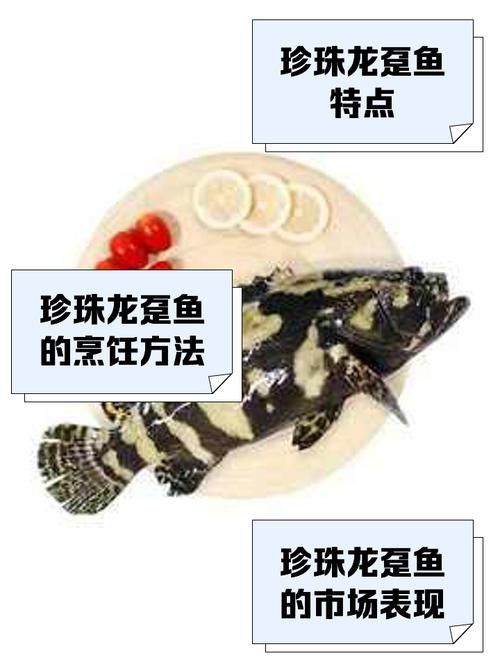 斑龍魚是什么魚圖片大全