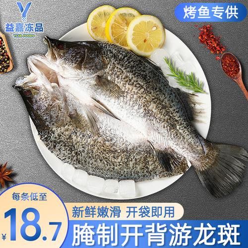 斑龍魚是什么魚圖片大全