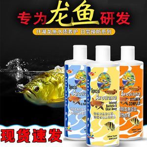 龍魚5號（龍魚5號使用方法）
