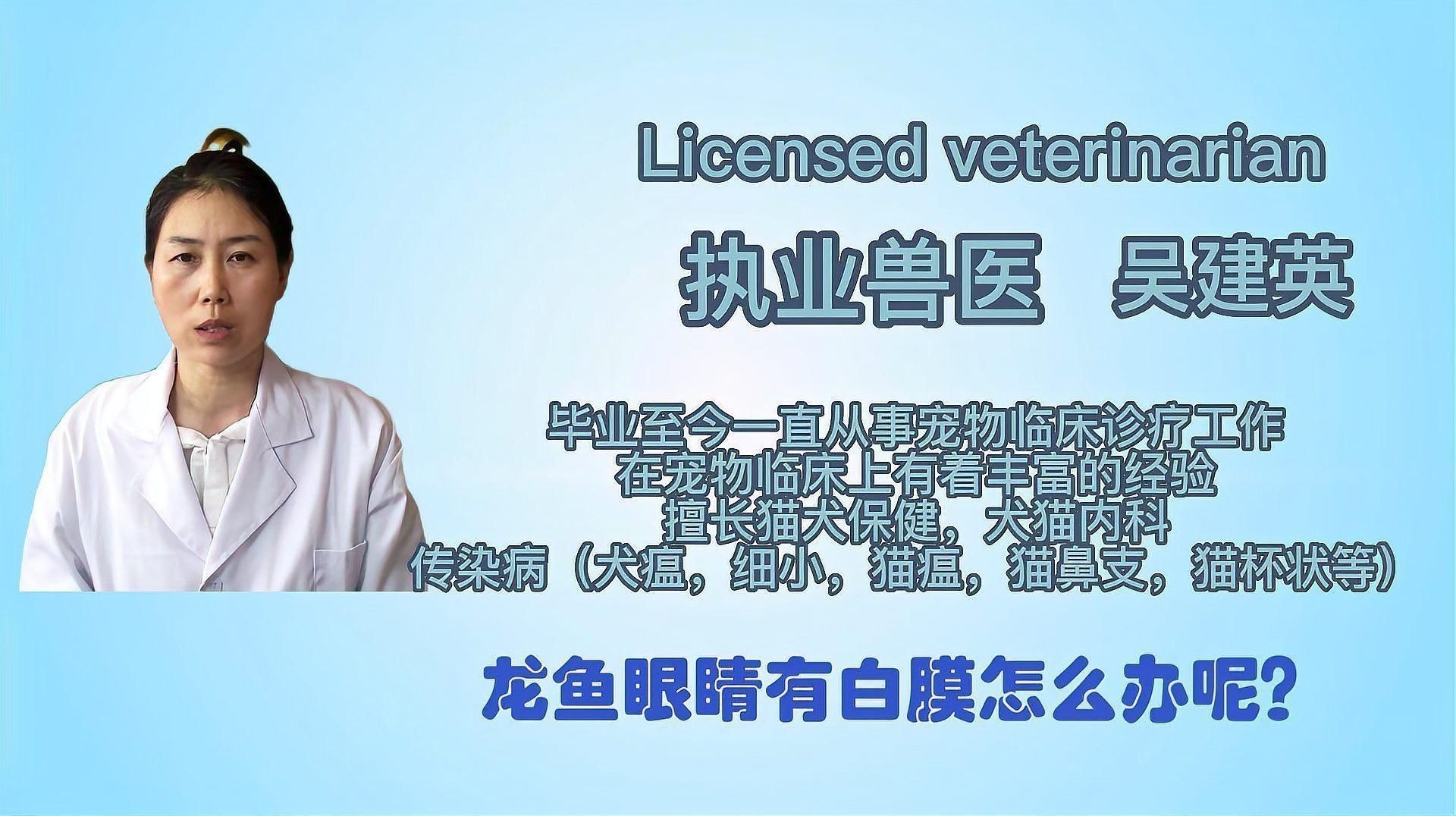 龍魚眼睛起白膜怎么辦