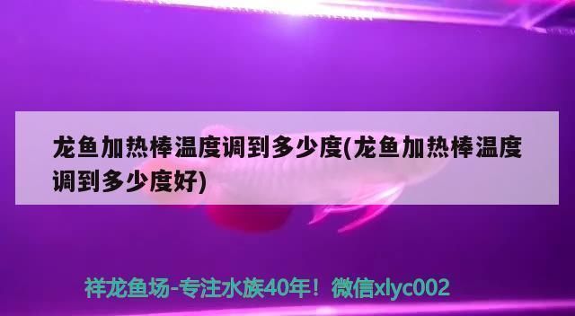 龍魚缸加熱棒調(diào)到度：龍魚缸加熱棒的調(diào)節(jié)