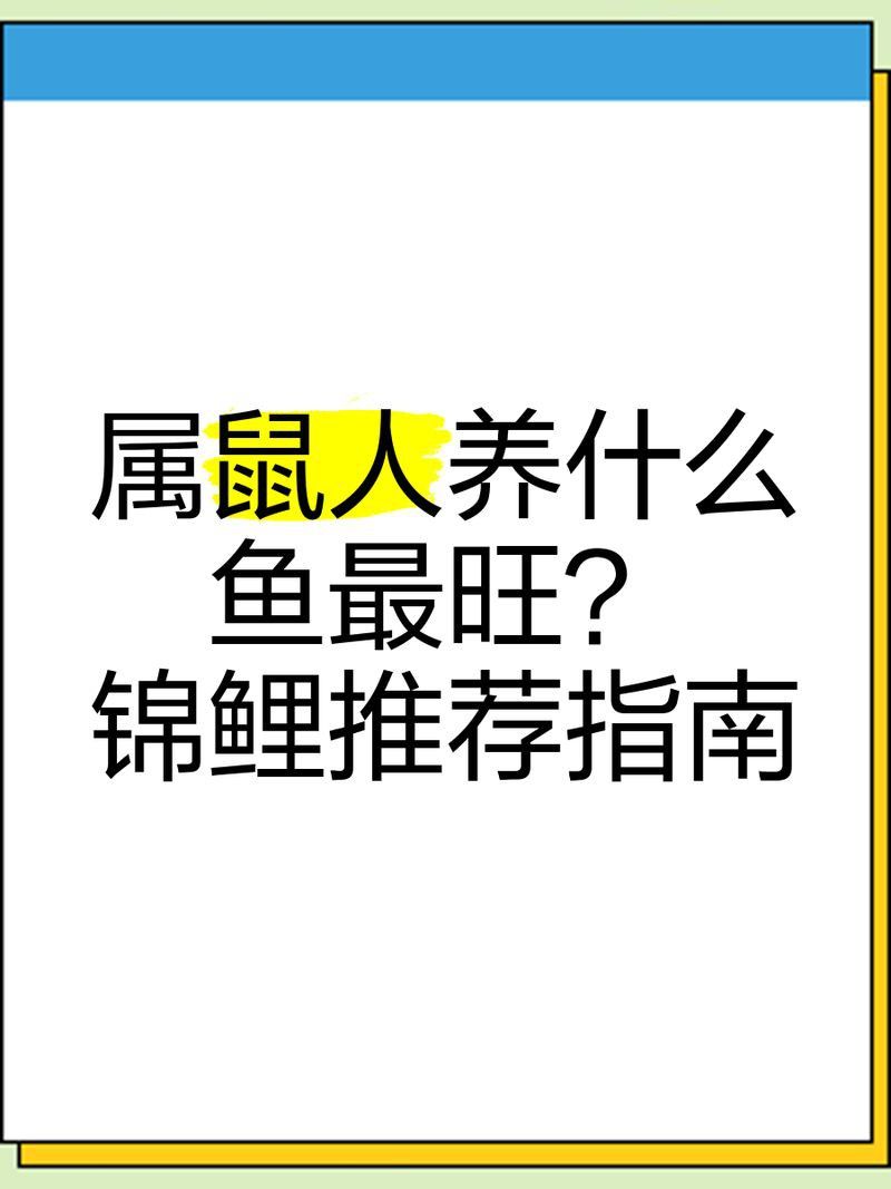 錦鯉最旺屬雞的什么魚