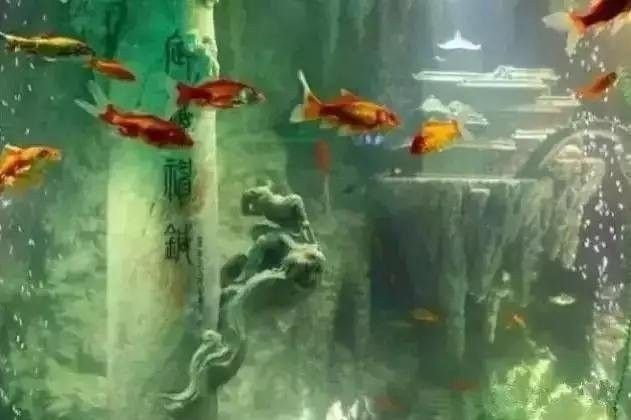 東海龍宮御龍魚缸介紹