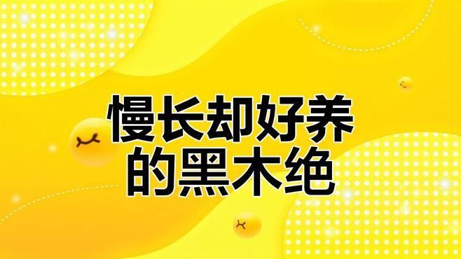 推薦一些生長緩慢的水草品種