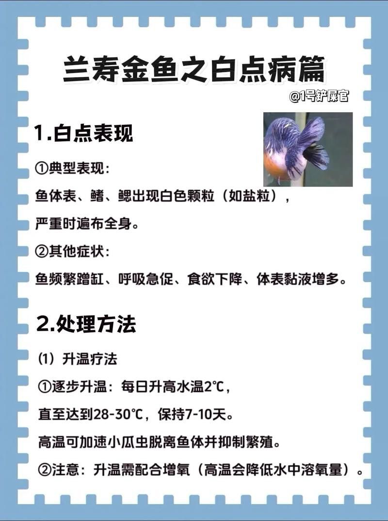 金龍魚身上有白點什么情況啊圖片視頻
