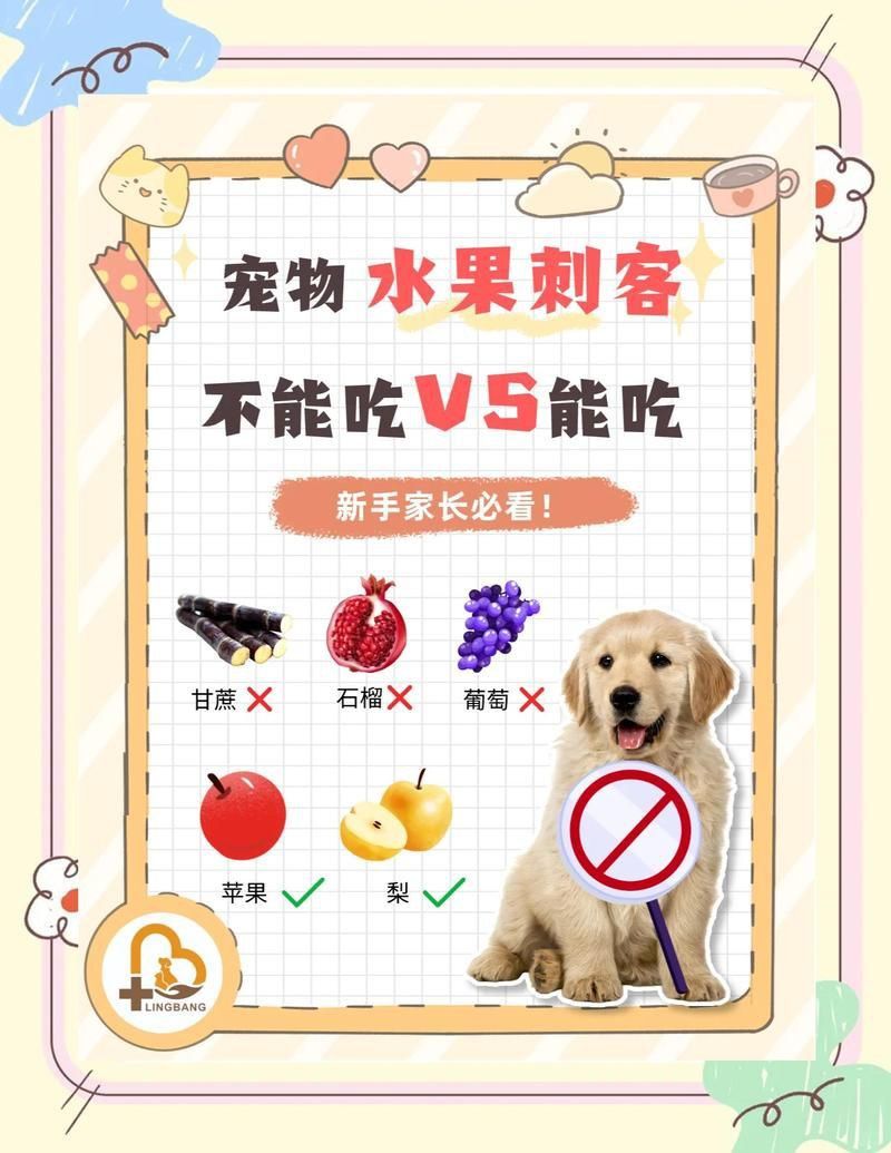 賽級古典龍魚最忌三種水果