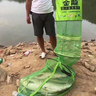 龍魚的水溫多少合適：龍魚不開口吃食怎么辦
