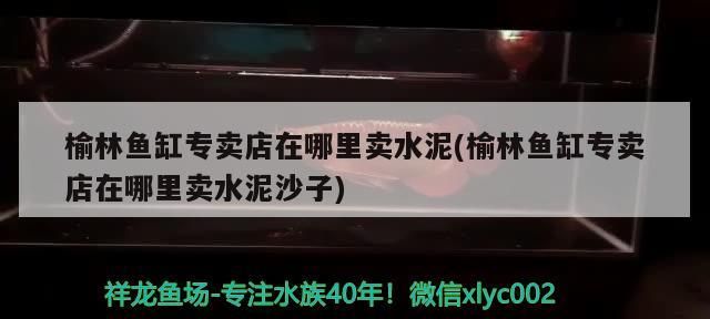 榆林魚缸專賣店在哪里賣水泥(榆林魚缸專賣店在哪里賣水泥沙子) 榆林魚缸專賣店在哪里賣水泥(榆林魚缸專賣店在哪里賣水泥沙子) 龍魚百科