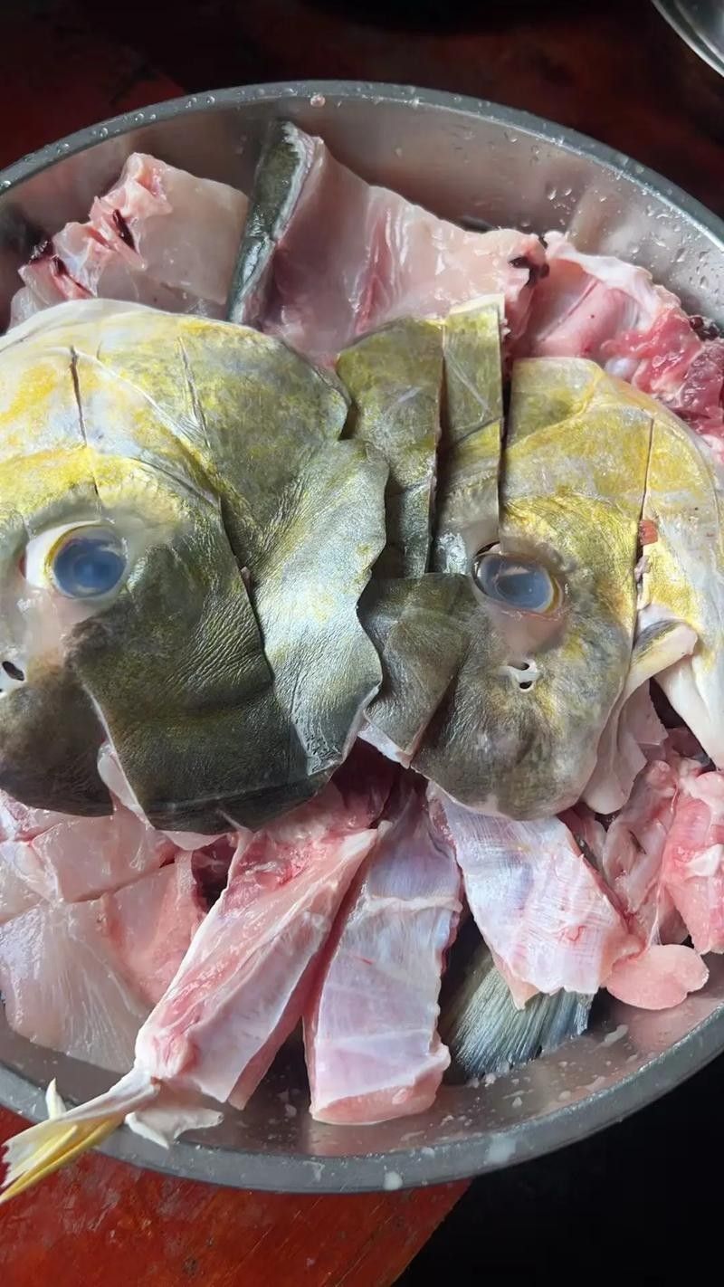 食人鯧可以和龍魚混養(yǎng)嗎圖片