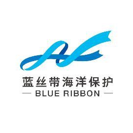 鯨魚品種大全及圖解