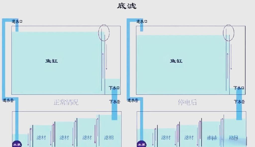 龍魚魚缸過濾系統如何設置？