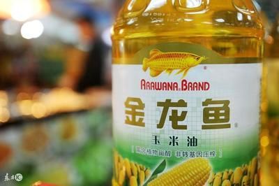 金龍魚吃了有什么好處：養金龍魚有什么好處金龍魚的功效與作用與作用
