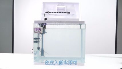 魚缸用換水嗎為什么（如何判斷魚缸是否健康魚缸換水的最佳時間是什么時候）