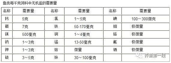 大白龍魚飼料怎么配大白龍魚飼料配制方法：大白龍魚飼料怎么配制大白龍魚飼料怎么配制飼料的信息