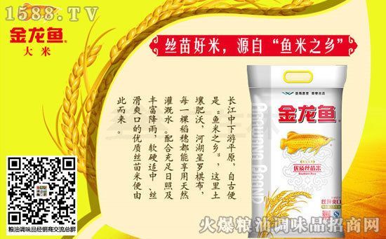 金龍魚江南絲苗米秈米：金龍魚江南絲苗米秈米的營養價值