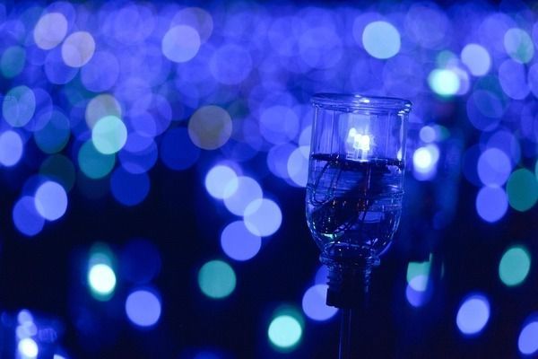 財神鸚鵡魚光照周期設置（如何判斷財神鸚鵡魚光照是否合適）