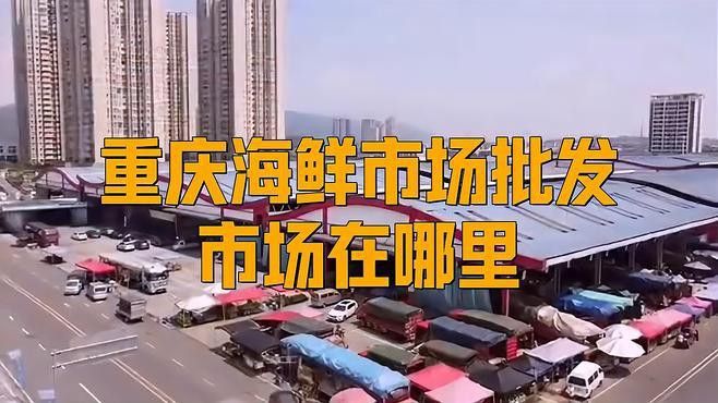 重慶哪里有賣龍魚的