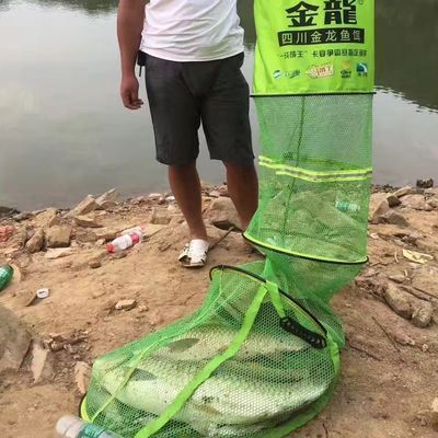 金龍魚用什么釣在哪里釣（如何自制金龍魚餌料金龍魚釣魚技巧分享金龍魚釣魚地點推薦）