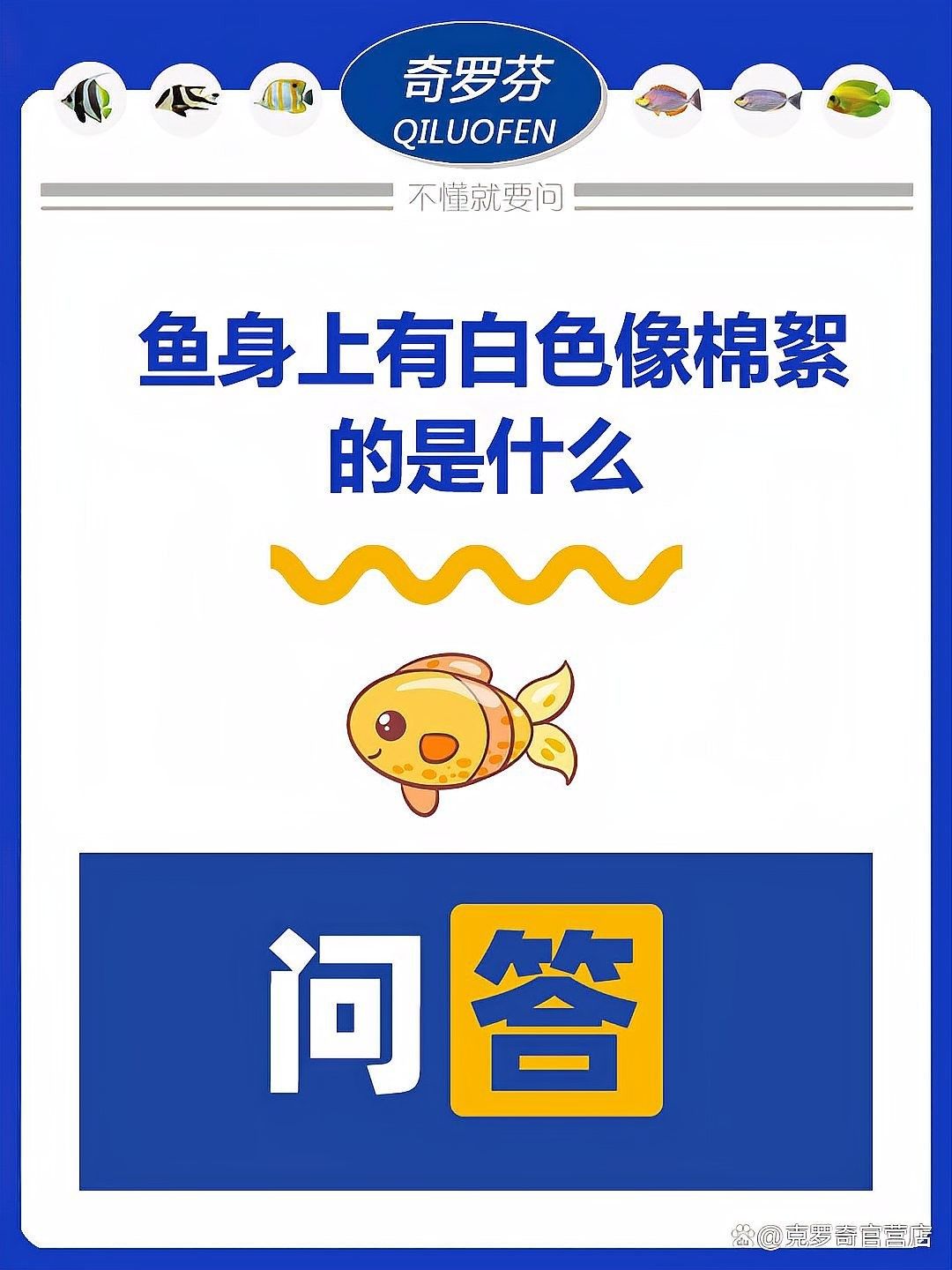 龍魚體表有白色棉絮狀東西是什么