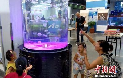 社交媒體龍魚交易風險：社交媒體上的龍魚交易存在多重風險