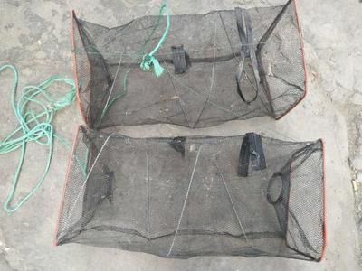 龍魚怎么撈出來：龍魚怎么撈取