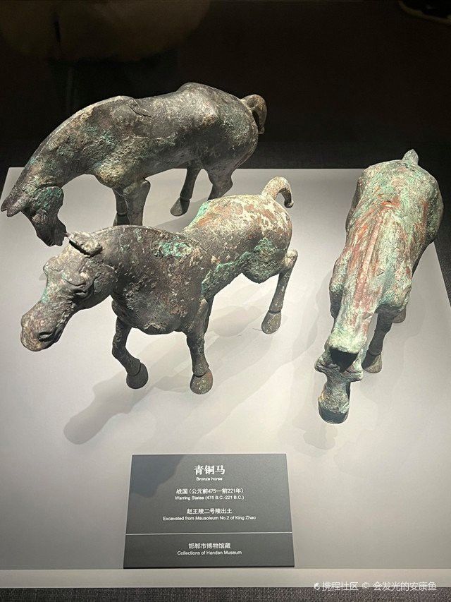 邯鄲凱龍魚缸專賣店在哪兒