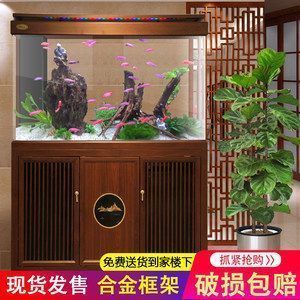 龍魚適合造景缸嗎（龍魚適合造景缸但需注意合理配置和定期維護和定期維護）