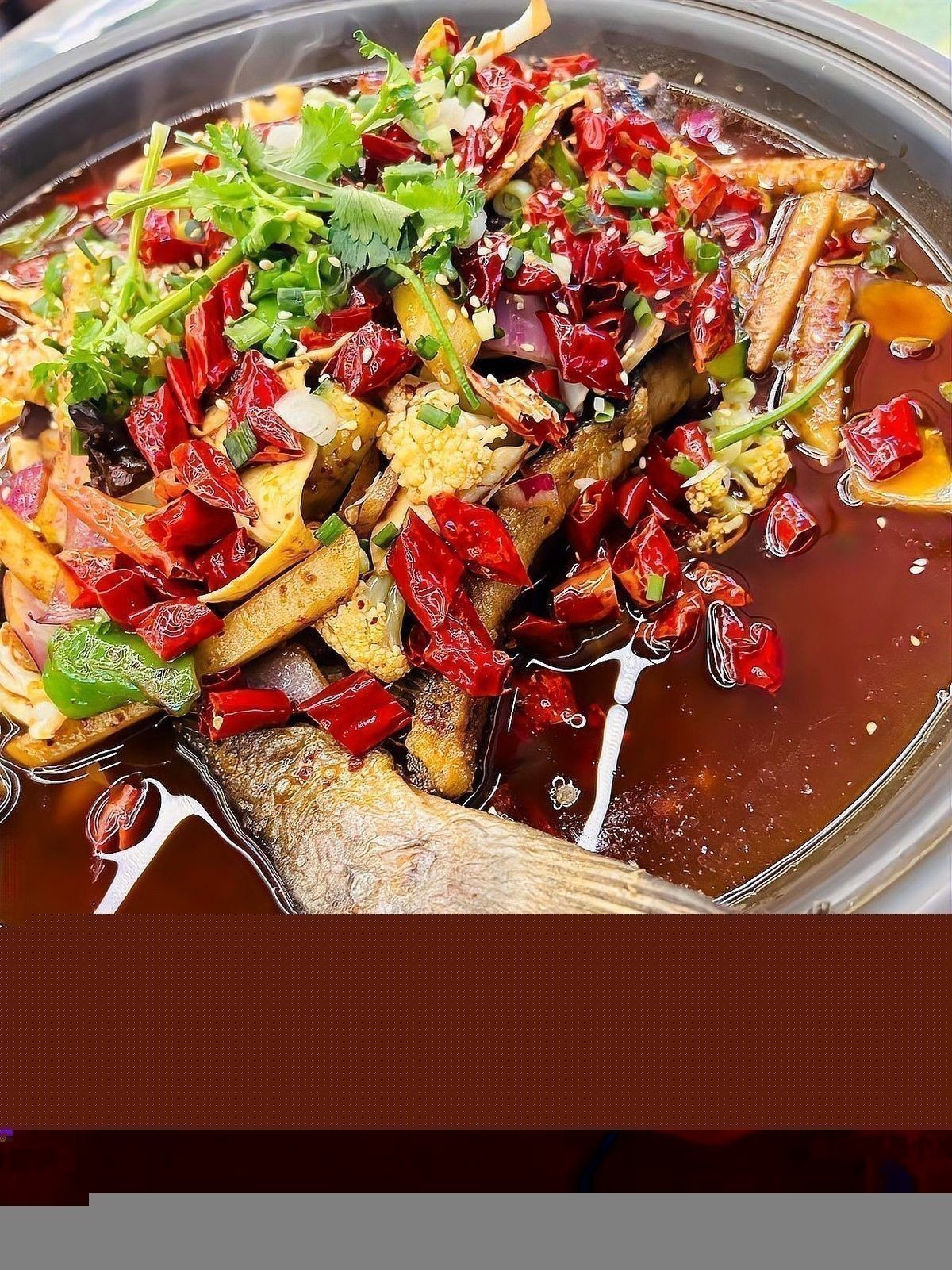黔龍魚是什么魚圖片