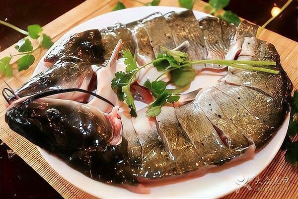 黔龍魚是什么魚圖片