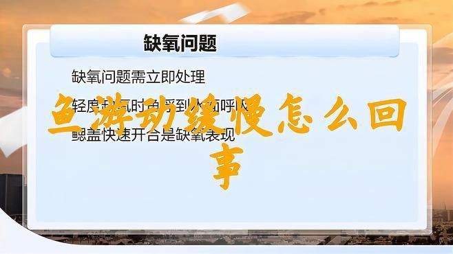 紅龍魚游動緩慢是衰老嗎？