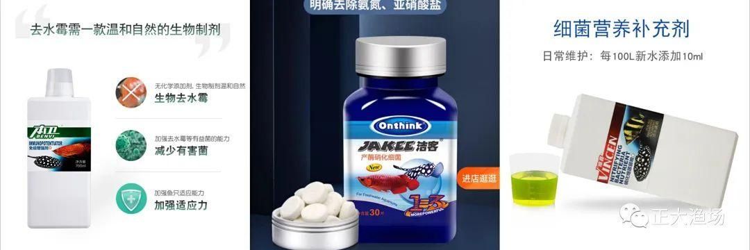 紅龍魚適應的溫度是多少度（紅龍魚水溫多少度最好）