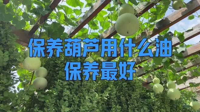 葫蘆龍頭把件保養油推薦