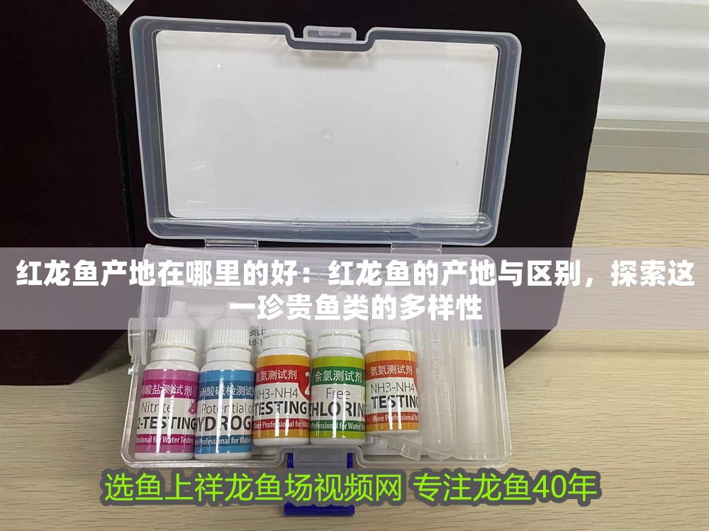 紅龍魚產(chǎn)地在哪里的好：紅龍魚的產(chǎn)地與區(qū)別，探索這一珍貴魚類的多樣性