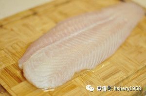 龍利魚還叫什么名字啊
