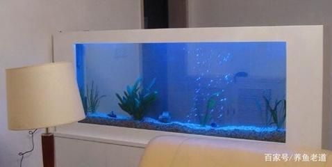 魚缸對身體有什么影響（如何正確維護魚缸減少危害）