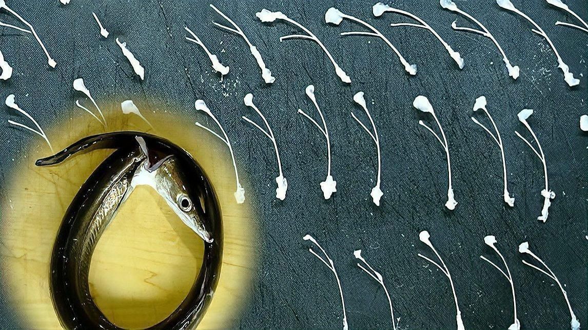 鰻魚里的很細的魚刺怎么去除
